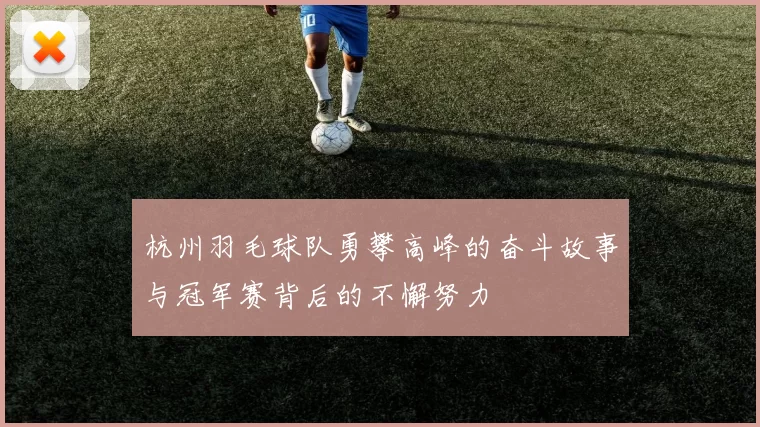 杭州羽毛球队勇攀高峰的奋斗故事与冠军赛背后的不懈努力