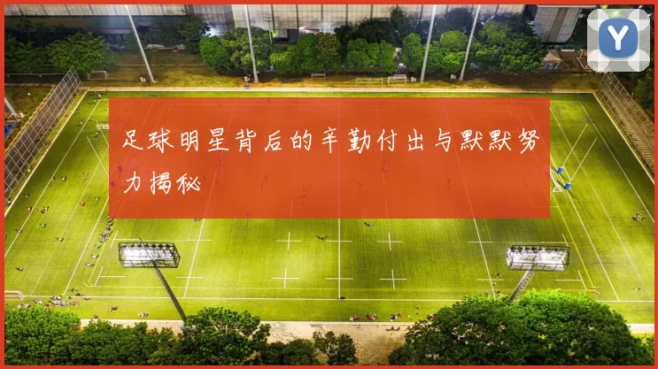 足球明星背后的辛勤付出与默默努力揭秘