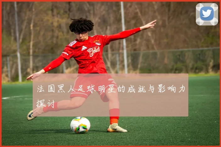 法国黑人足球明星的成就与影响力探讨