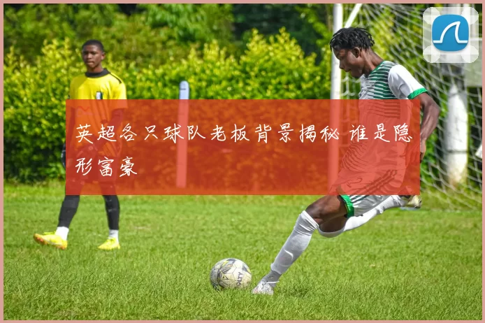 英超各只球队老板背景揭秘 谁是隐形富豪