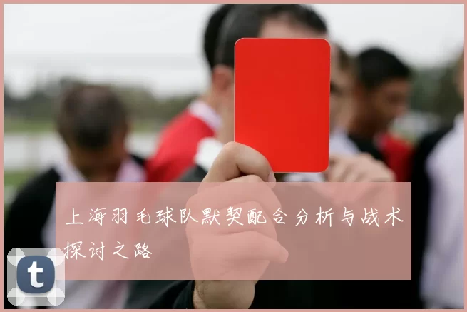 上海羽毛球队默契配合分析与战术探讨之路