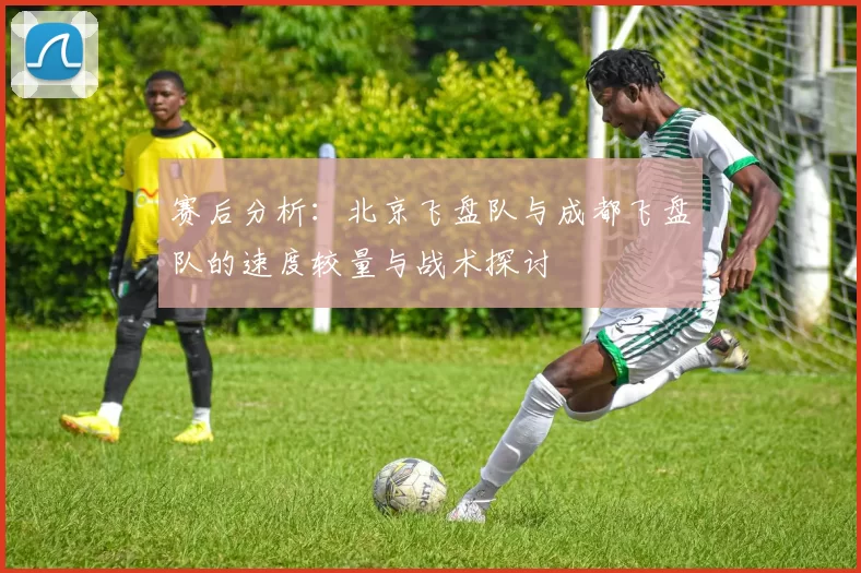 赛后分析：北京飞盘队与成都飞盘队的速度较量与战术探讨