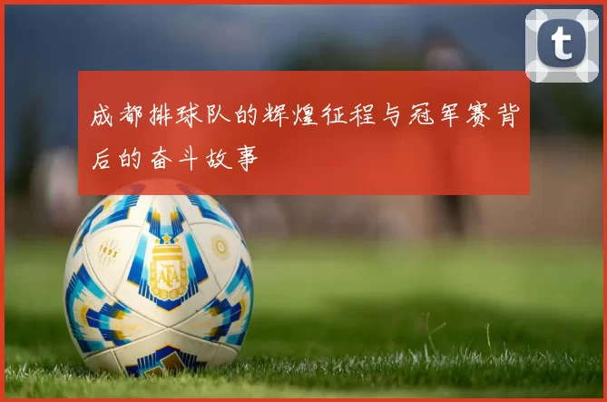 成都排球队的辉煌征程与冠军赛背后的奋斗故事