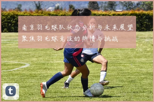 南京羽毛球队状态分析与未来展望聚焦羽毛球竞技的热情与挑战
