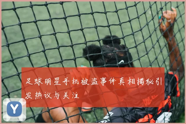 足球明星手机被盗事件真相揭秘引发热议与关注