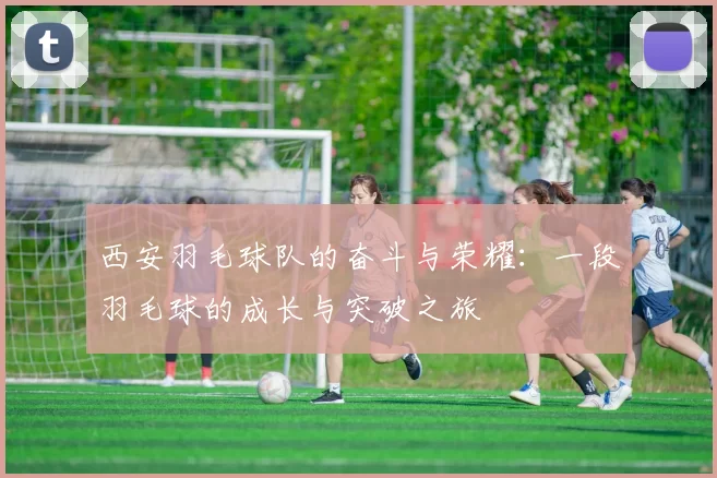 西安羽毛球队的奋斗与荣耀：一段羽毛球的成长与突破之旅