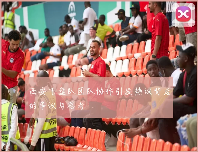 西安飞盘队团队协作引发热议背后的争议与思考