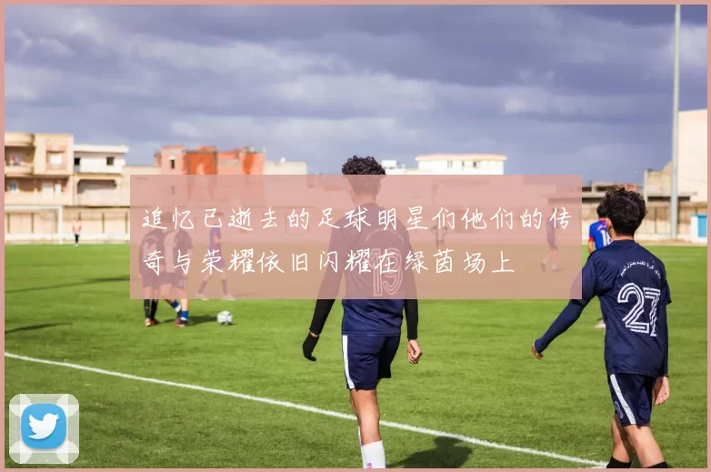 追忆已逝去的足球明星们他们的传奇与荣耀依旧闪耀在绿茵场上