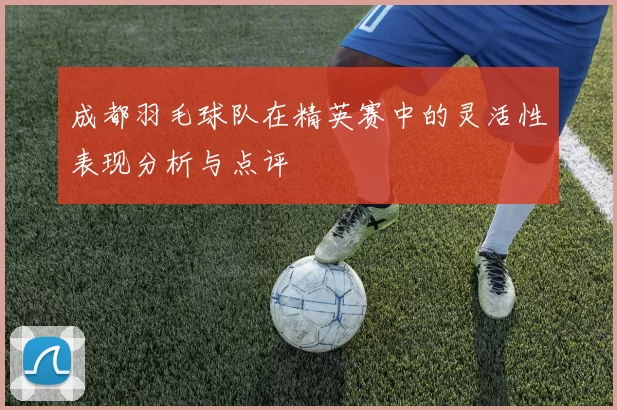 成都羽毛球队在精英赛中的灵活性表现分析与点评