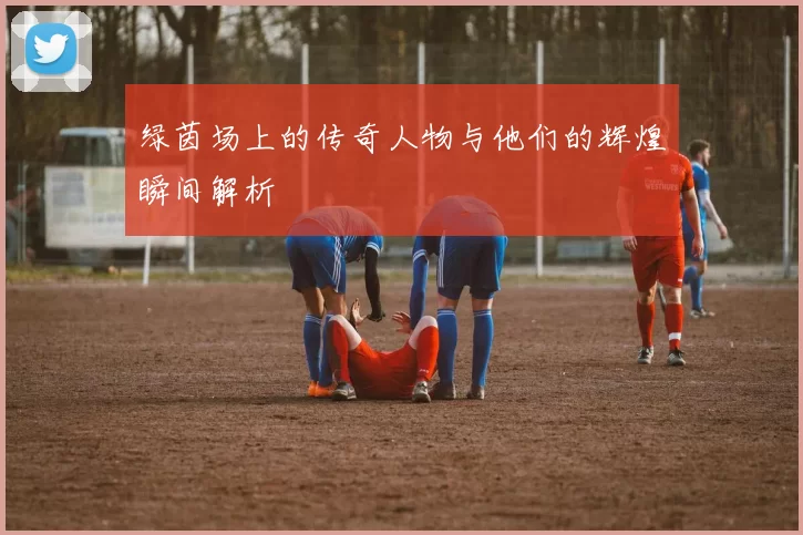 绿茵场上的传奇人物与他们的辉煌瞬间解析