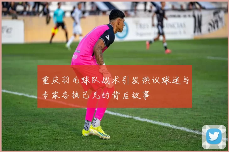 重庆羽毛球队战术引发热议球迷与专家各执己见的背后故事