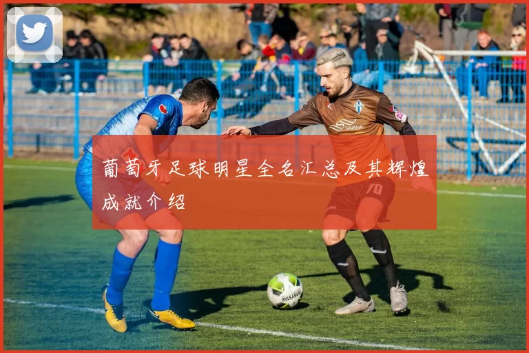葡萄牙足球明星全名汇总及其辉煌成就介绍