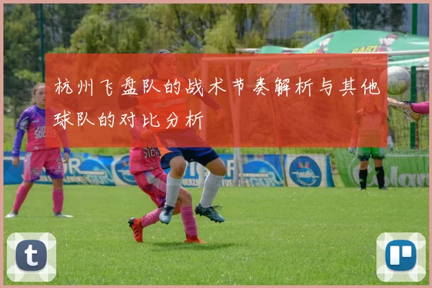 杭州飞盘队的战术节奏解析与其他球队的对比分析