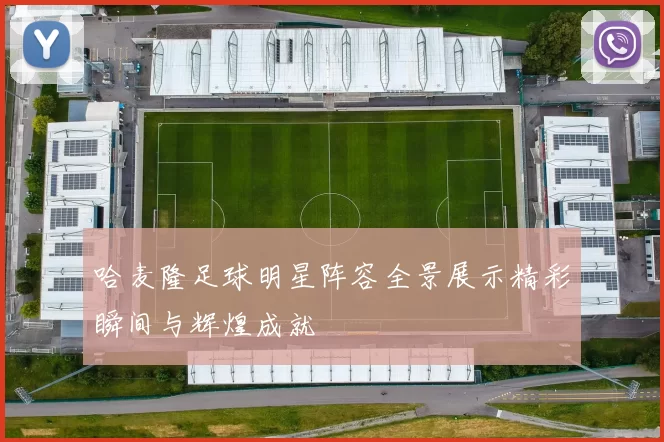 哈麦隆足球明星阵容全景展示精彩瞬间与辉煌成就