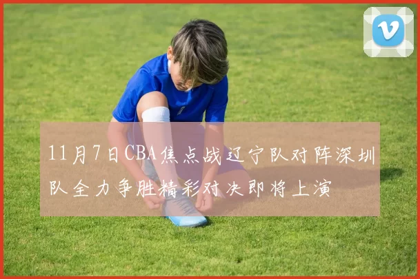 11月7日CBA焦点战辽宁队对阵深圳队全力争胜精彩对决即将上演