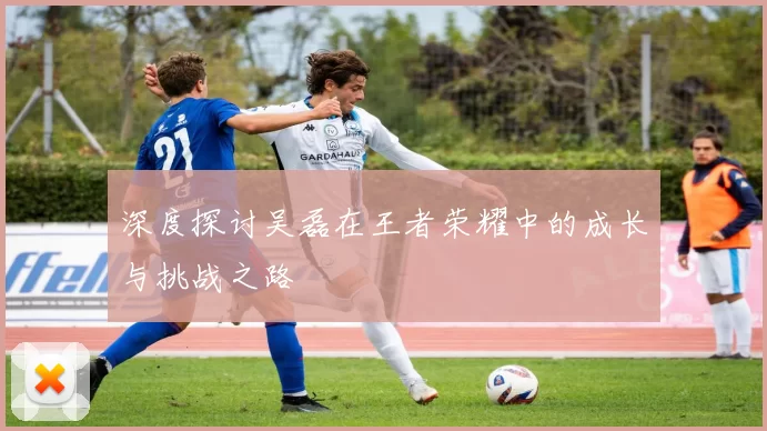 深度探讨吴磊在王者荣耀中的成长与挑战之路