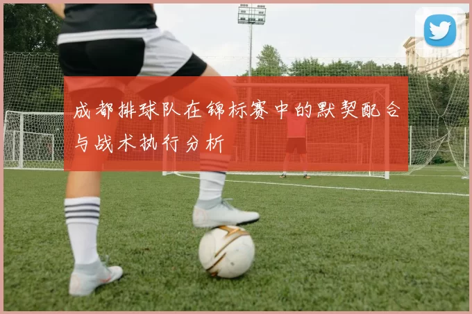 成都排球队在锦标赛中的默契配合与战术执行分析