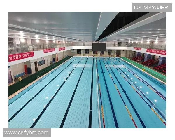 游泳训练全面指南：技巧、训练计划、身体素养一网打尽