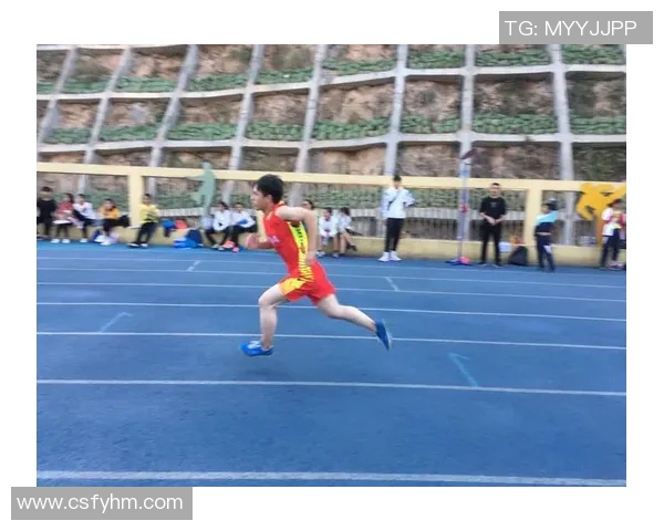 从基础到精通：乒乓球耐力训练全方位指南与实用技巧分享